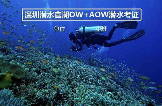 宝可梦探险寻宝