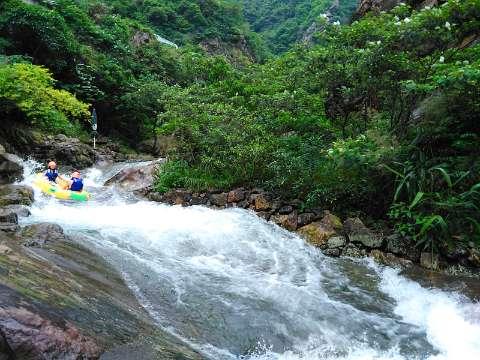 小长颈鹿逃离